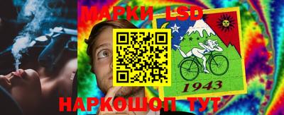спайс Малгобек
