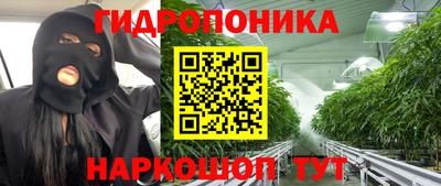 спайс Малгобек