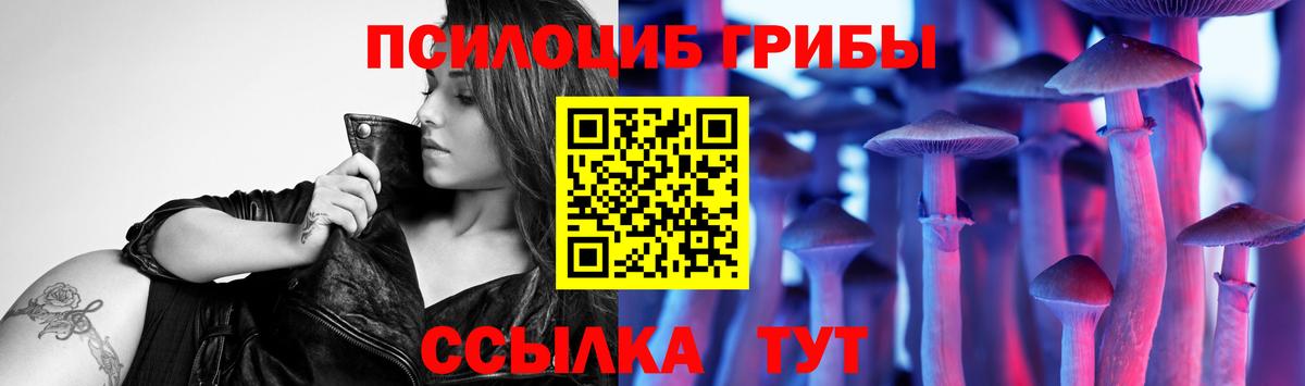 Дербент  Псилоцибиновые грибы MAGIC MUSHROOMS  Вход с VPN 