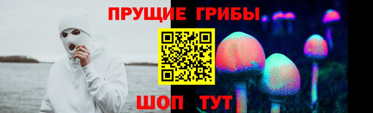 Псилоцибиновые грибы MAGIC MUSHROOMS Дербент